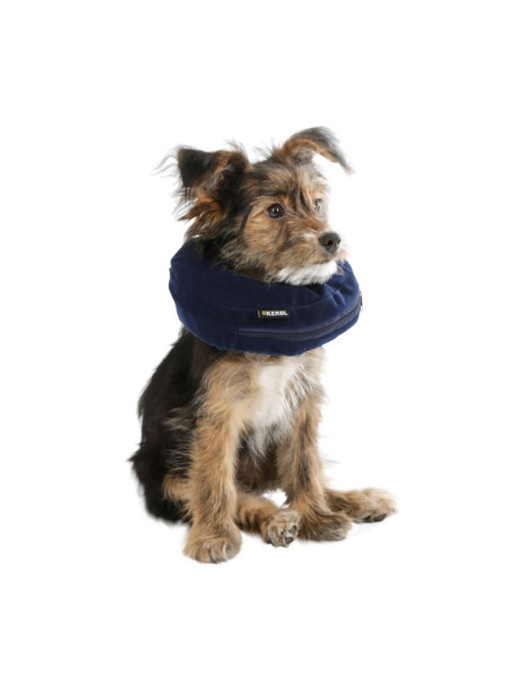 Collerette pour chien gonflable Kerbl 1