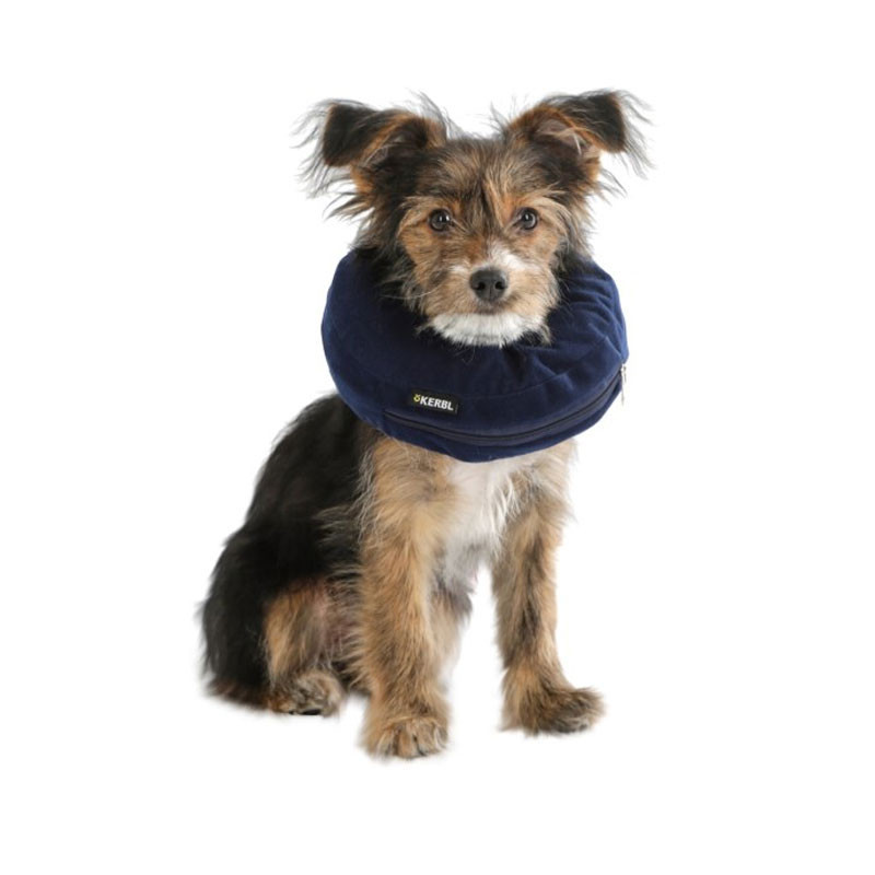 Collerette pour chien gonflable Kerbl 2