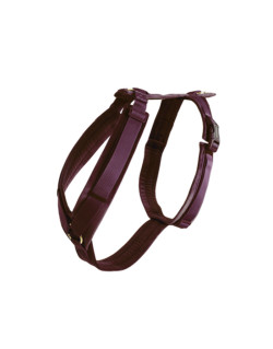 Harnais pour chien Actif Velvet Kentucky