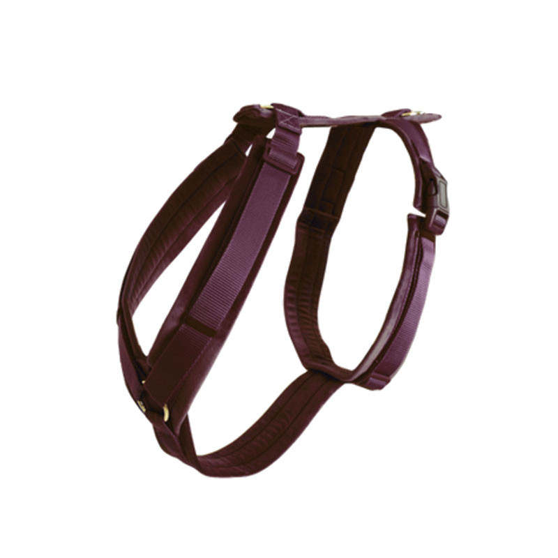 Harnais pour chien Actif Velvet Kentucky