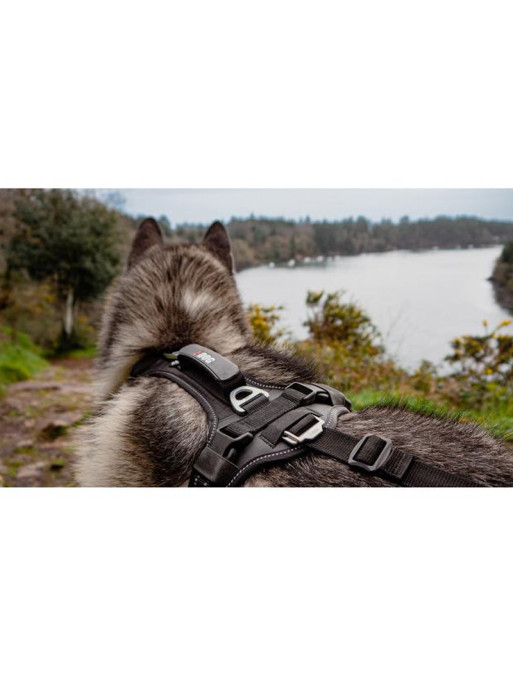Harnais raidlight I-Dog Harnais raidlight I-Dog