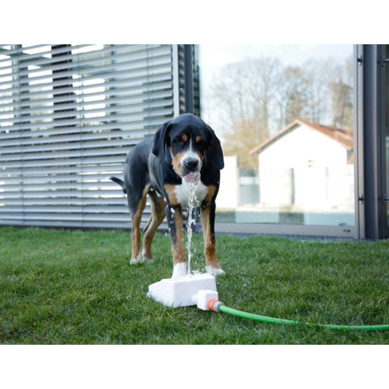 Fontaine pour chien bubble Kerbl