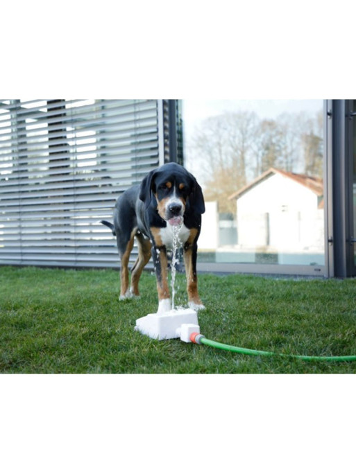 Fontaine pour chien bubble Kerbl