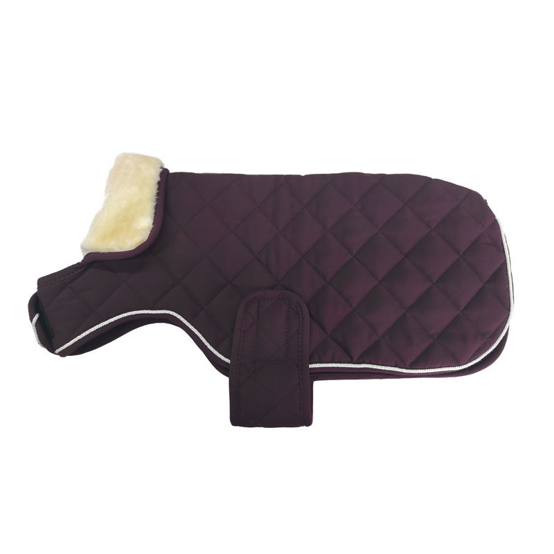 Couverture pour chien Rocket Winter 22 Harcour