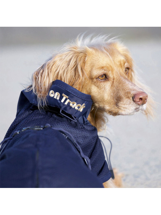 Manteau filet pour chien Back On Track