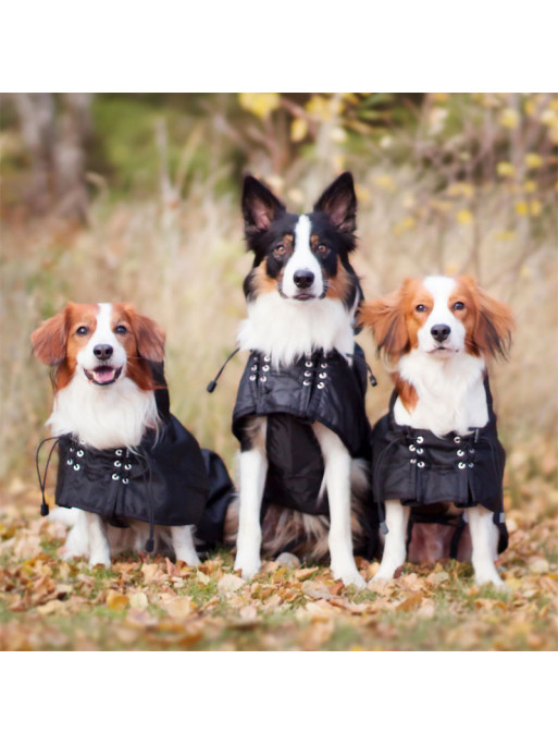 Couverture imperméable doublée pour chien Back On Track