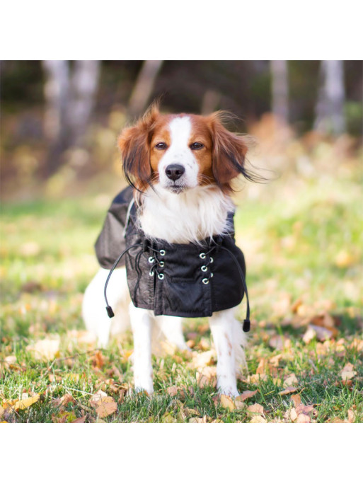 Couverture imperméable doublée pour chien Back On Track - chiens