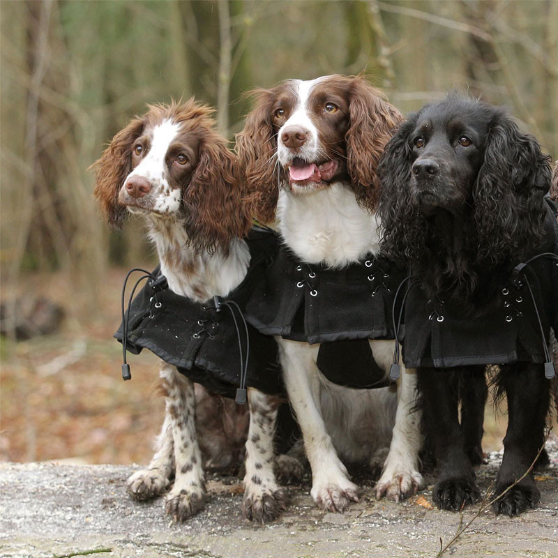 Manteau polaire suprême pour chien Back On Track