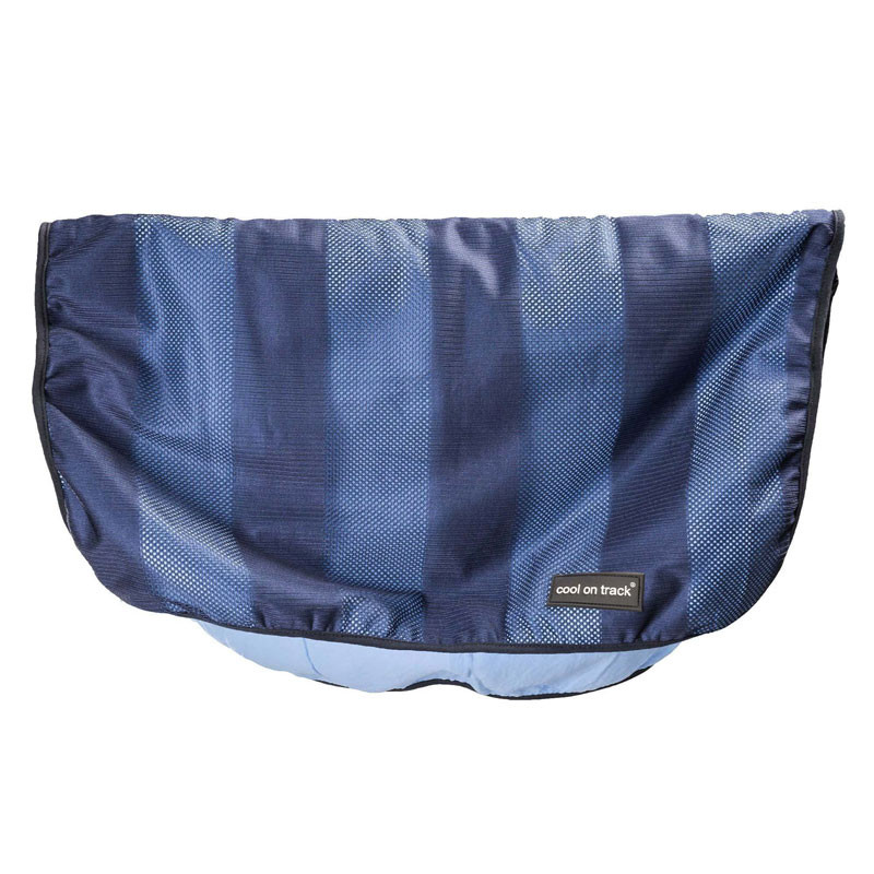 Serviette rafraichissante pour chien Cool On Track