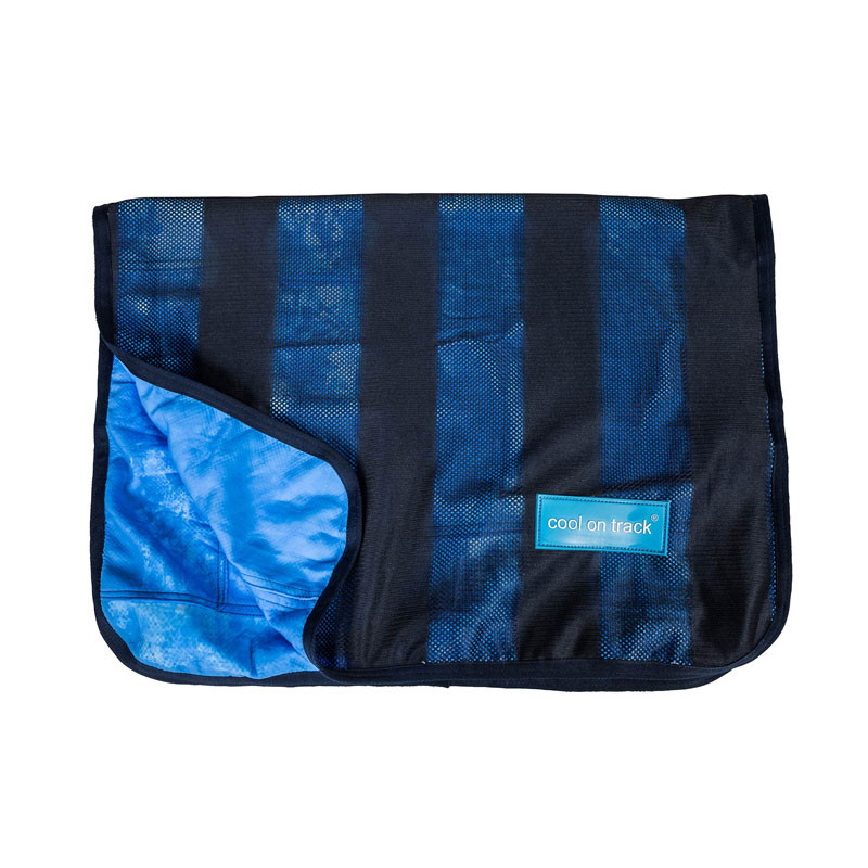 Serviette rafraichissante pour chien Cool On Track