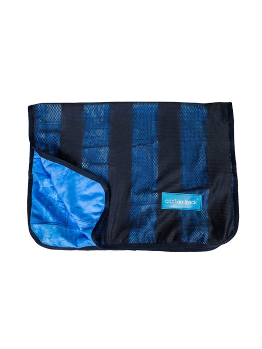 Serviette rafraichissante pour chien Cool On Track