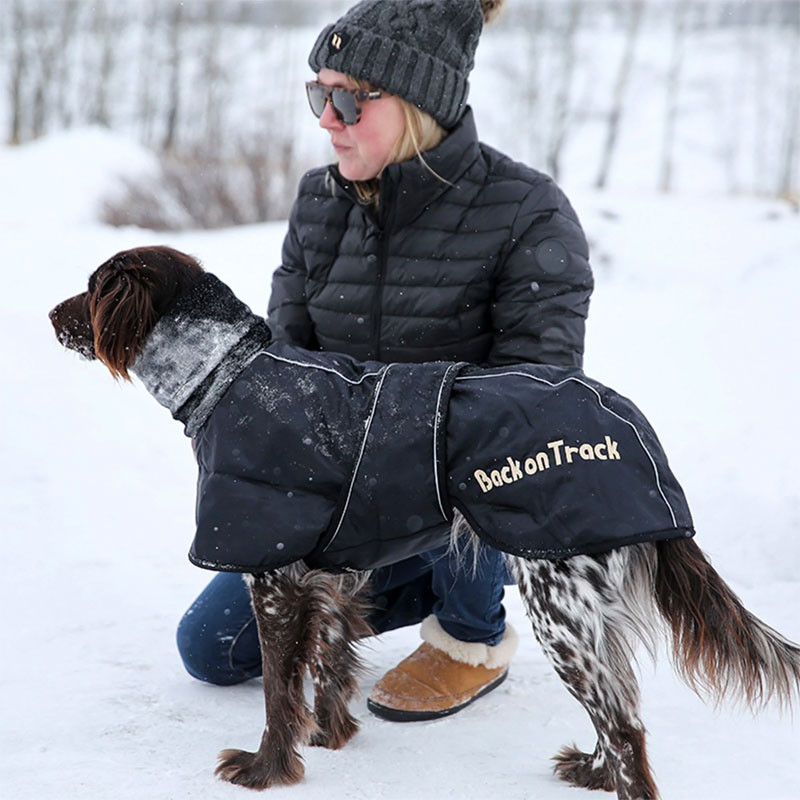 Manteau Whippet pour chien Back On Track