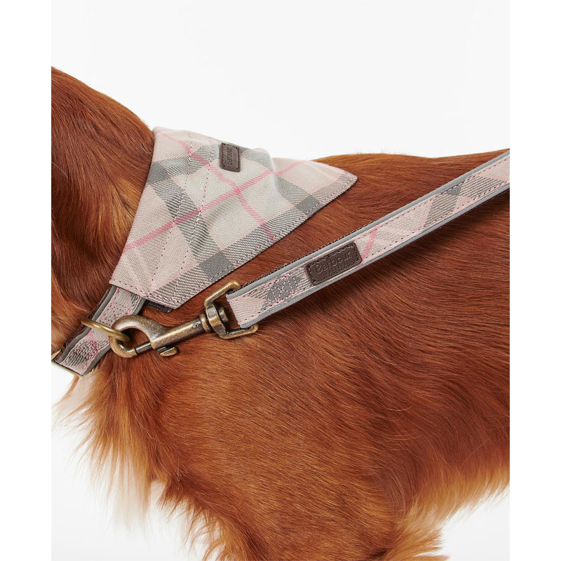 Laisse pour chien Reflective Tartan Barbour