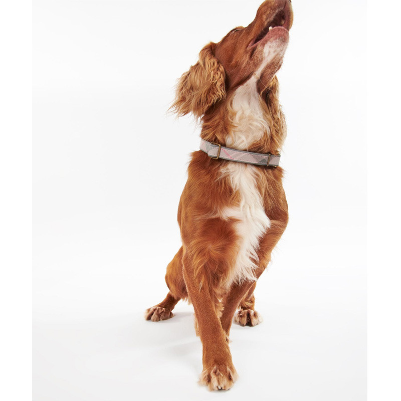 Collier pour chien Reflective Tartan Dog collar Barbour