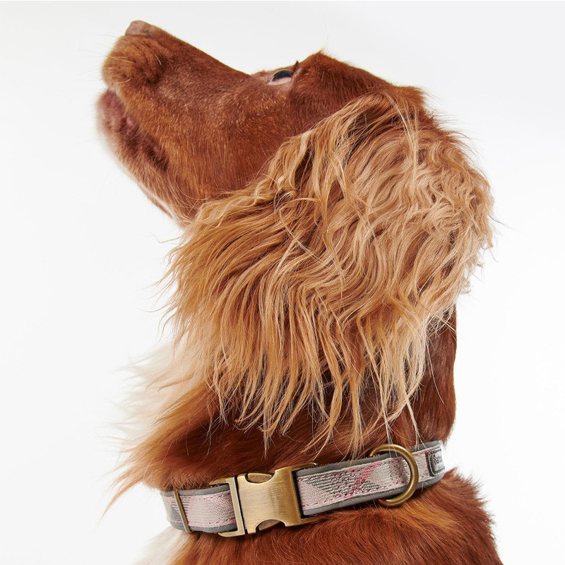 Collier pour chien Reflective Tartan Dog collar Barbour