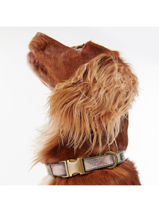 Collier pour chien Reflective Tartan Dog collar Barbour