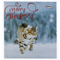 Calendrier de l'avent pour chat Bubimex