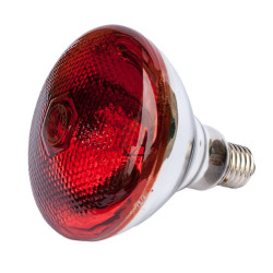 Ampoule infrarouge 150w Copele