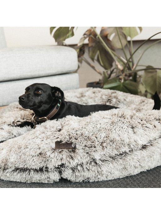 Panier Pour Chien Confort Beignet Kentucky Panier Pour Chien Confort Beignet Kentucky