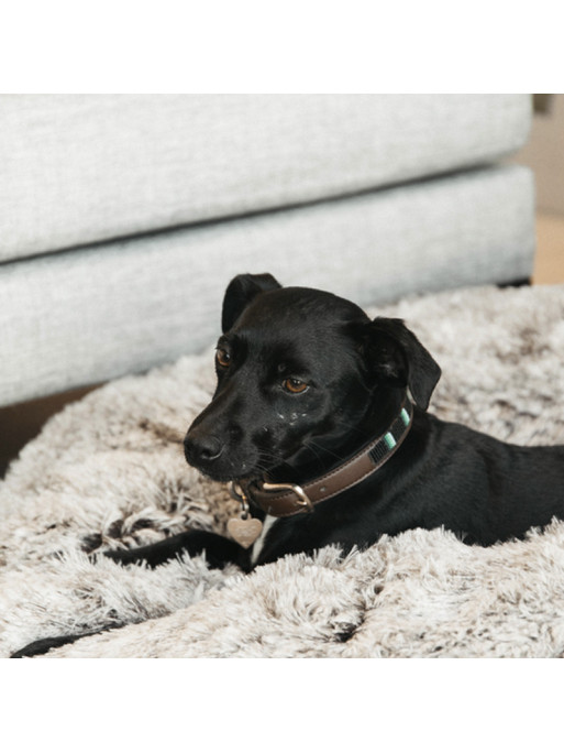 Panier Pour Chien Confort Beignet Kentucky Panier Pour Chien Confort Beignet Kentucky