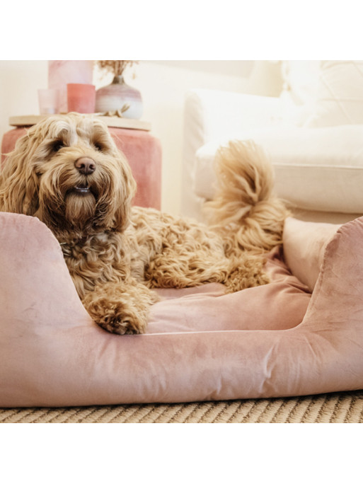 Lit pour chien velvet Kentucky