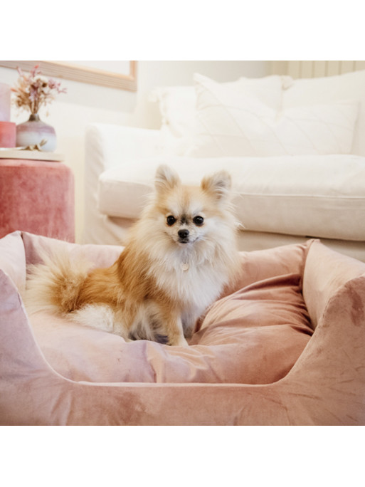 Lit pour chien velvet Kentucky