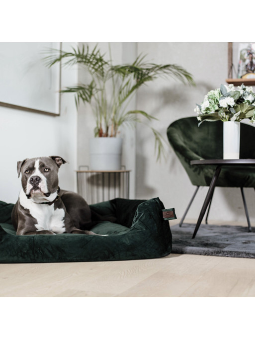 Lit pour chien velvet Kentucky Lit pour chien velvet Kentucky