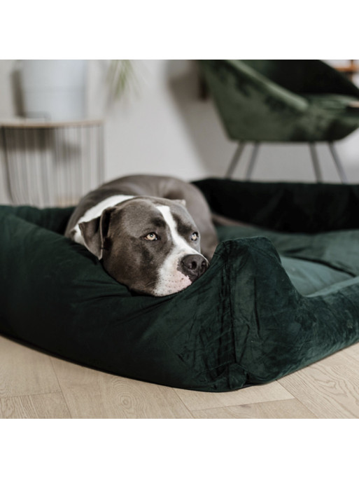 Lit pour chien velvet Kentucky Lit pour chien velvet Kentucky