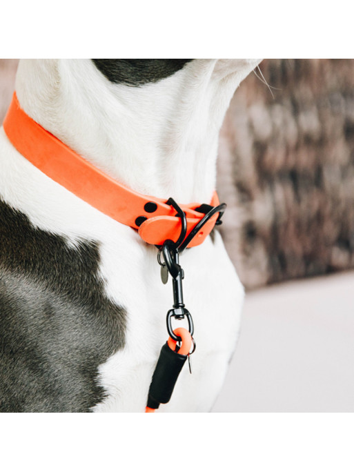 Collier pour chien soft rubber Kentucky