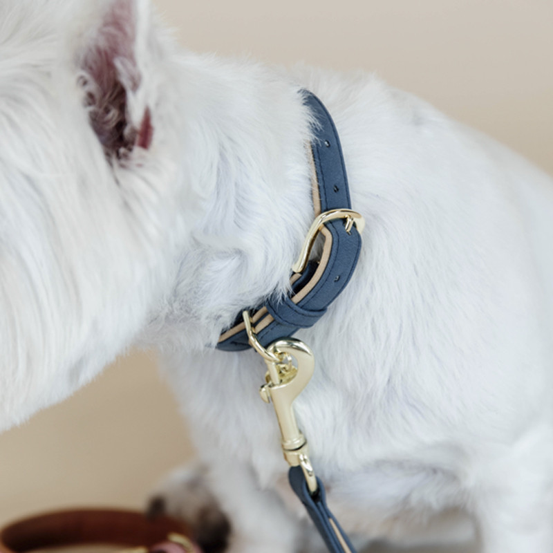 Collier pour Chien Vegan leather Kentucky