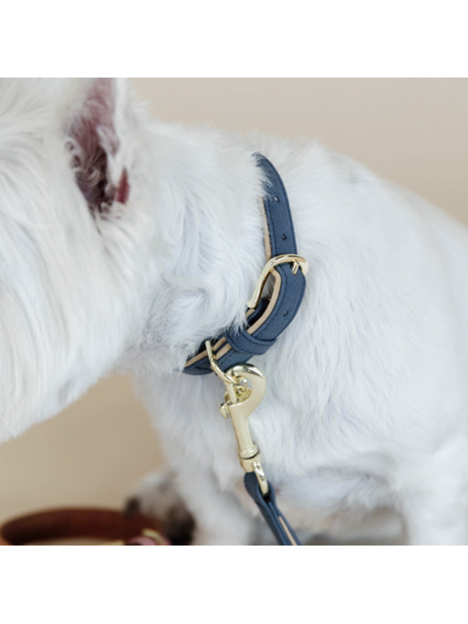 Collier pour Chien Vegan leather Kentucky