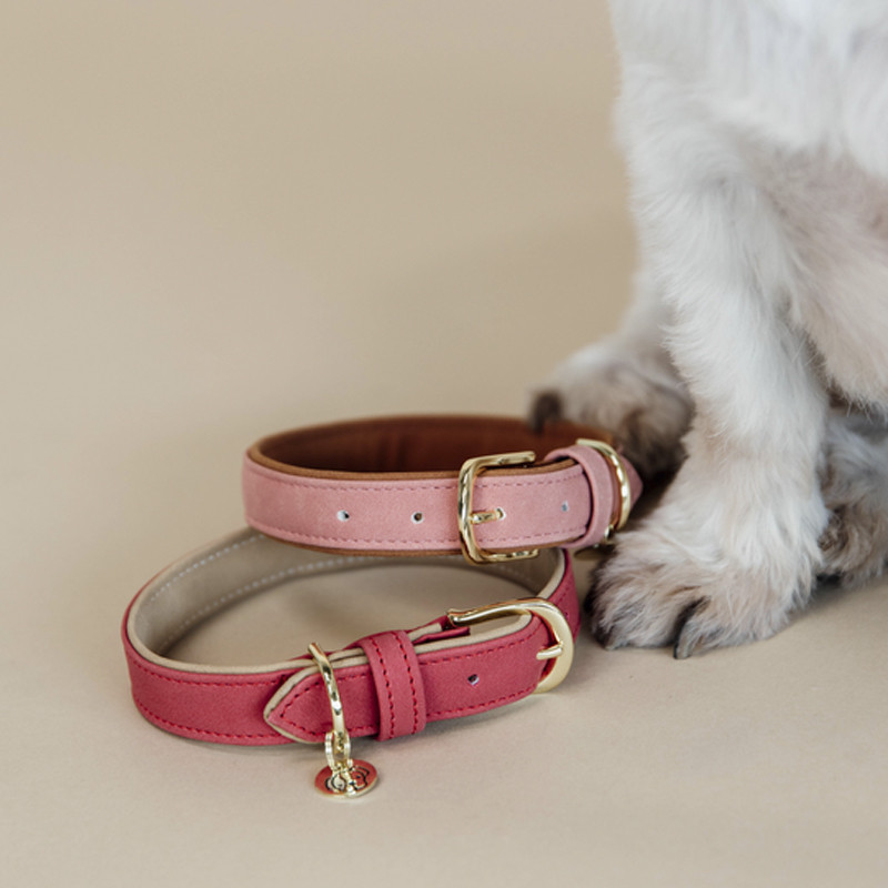 Collier pour Chien Vegan leather Kentucky