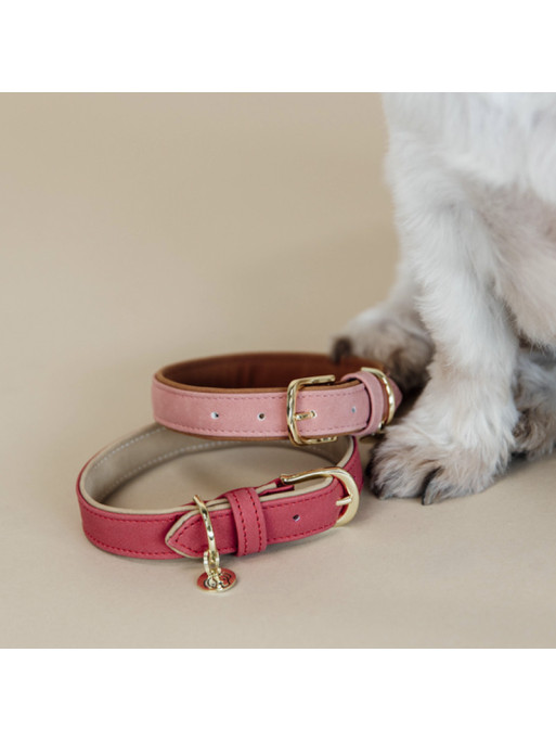 Collier pour Chien Vegan leather Kentucky