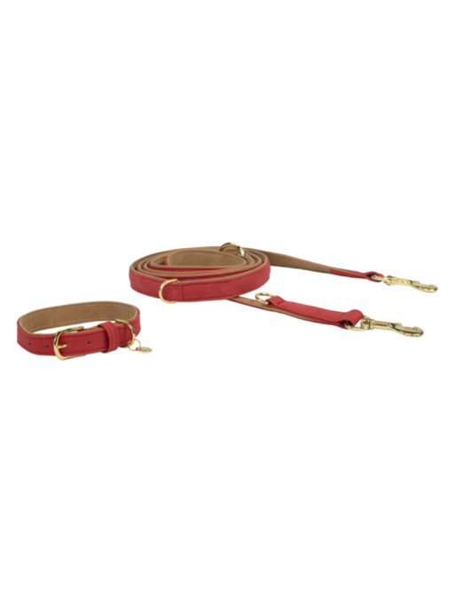 Laisse Chien Vegan Leather Kentucky Laisse Chien Vegan Leather Kentucky