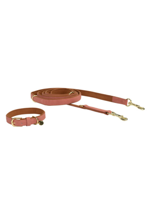 Laisse Chien Vegan Leather Kentucky Laisse Chien Vegan Leather Kentucky