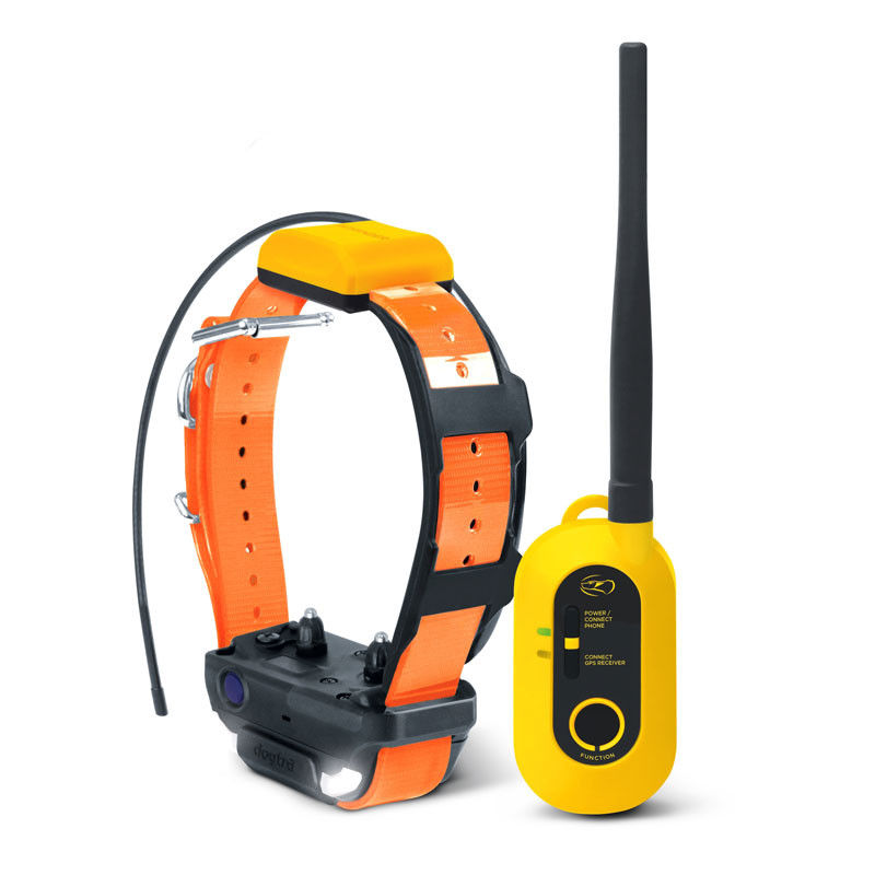 Kit repérage dressage Pathfinder 2 Dogtra