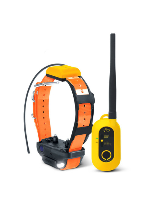 Kit repérage dressage Pathfinder 2 Dogtra