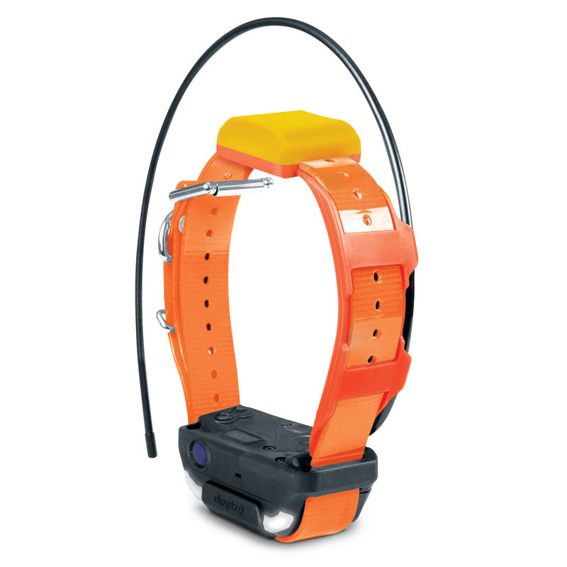 Kit repérage dressage Pathfinder 2 Dogtra
