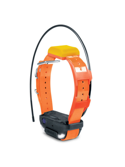 Kit repérage dressage Pathfinder 2 Dogtra