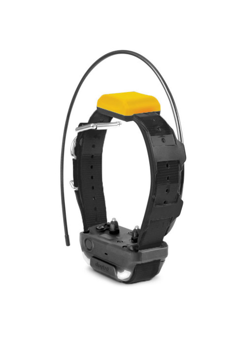 Collier supplémentaire Pathfinder 2 Dogtra Collier supplémentaire Pathfinder 2 Dogtra