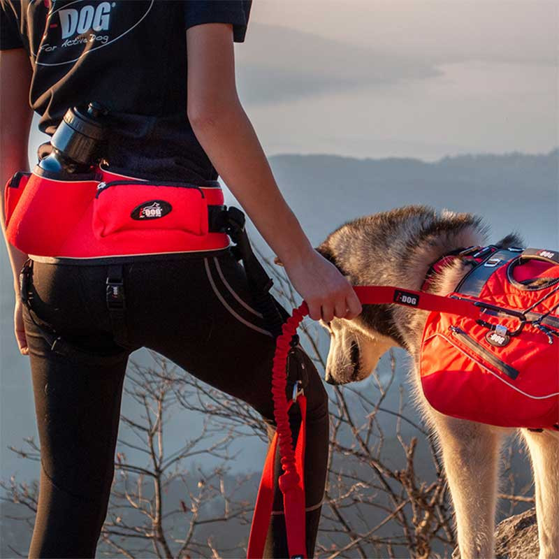 Baudrier Canicross Confort Trek I-DOG