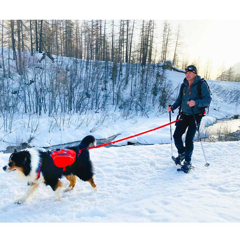 Longe de traction Confort Trek I-Dog