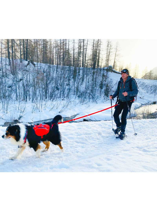 Longe de traction Confort Trek I-Dog