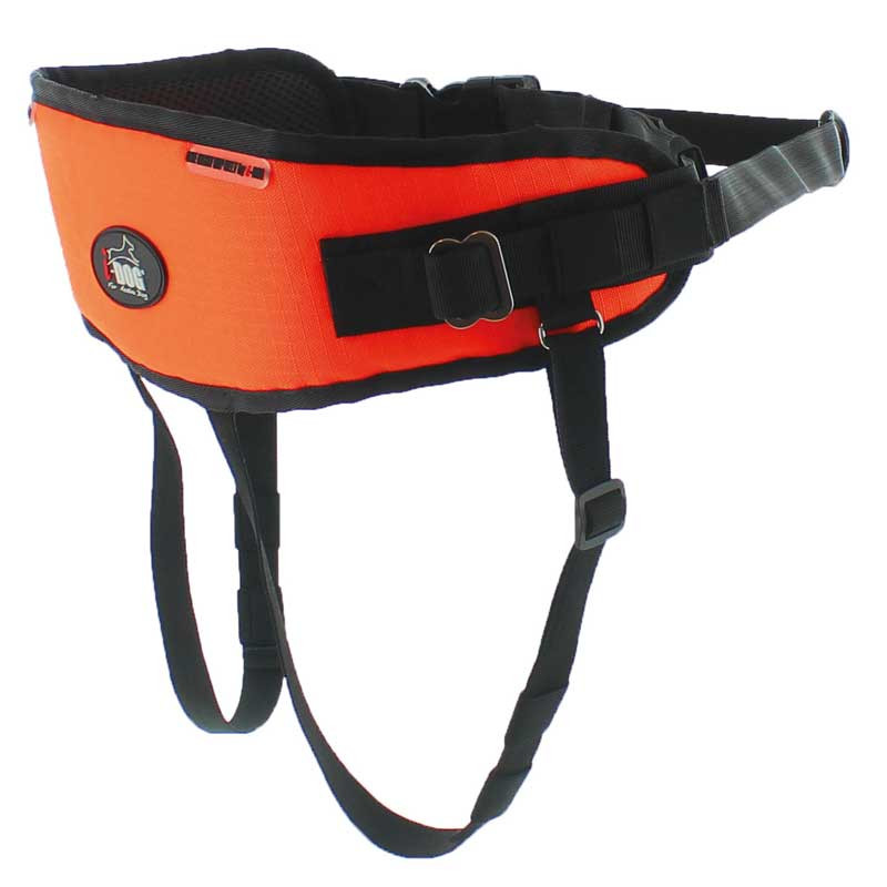 Ceinture de Canicross One Light I-DOG