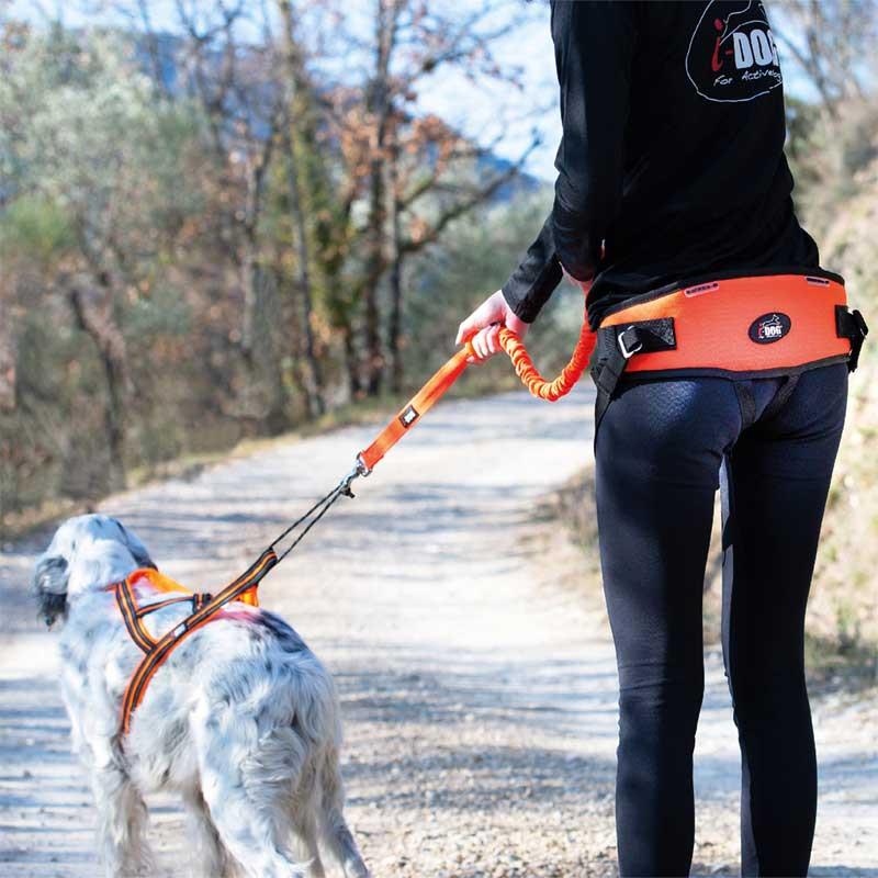 Ceinture de Canicross One Light I-DOG