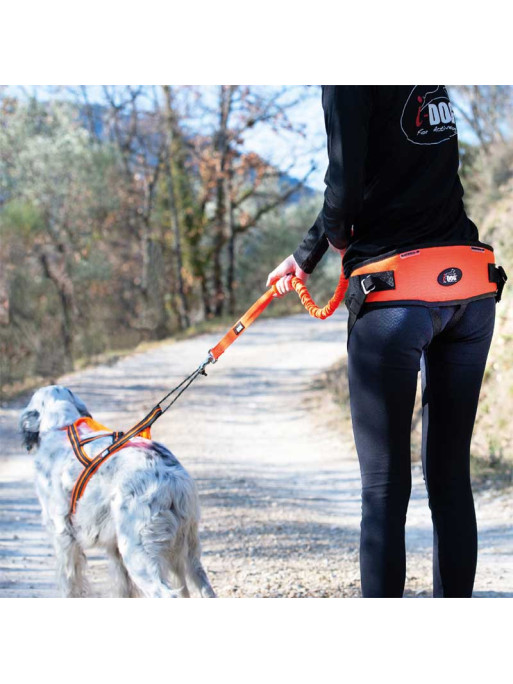 Ceinture de Canicross One Light I-DOG