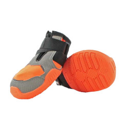 Chaussures pour chien Khan...