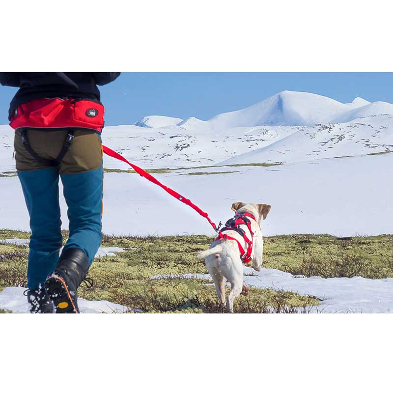 Sangle de traction de remplacement Confort Trek I-DOG