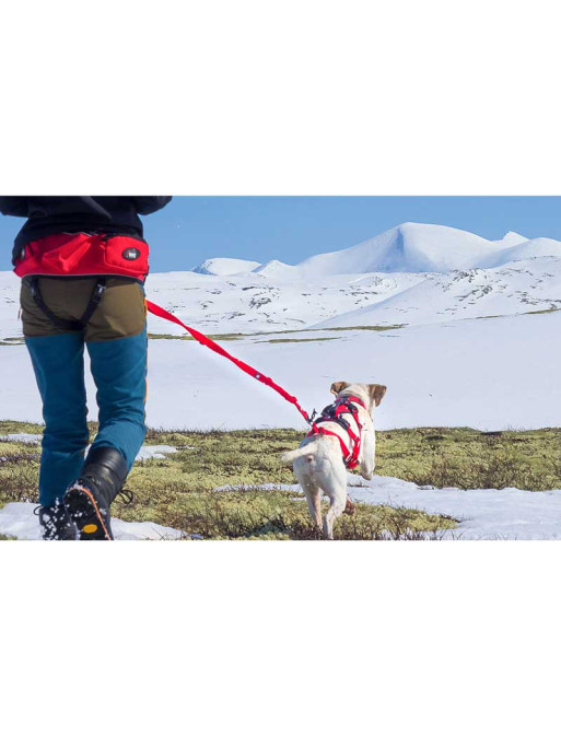 Sangle de traction de remplacement Confort Trek I-DOG