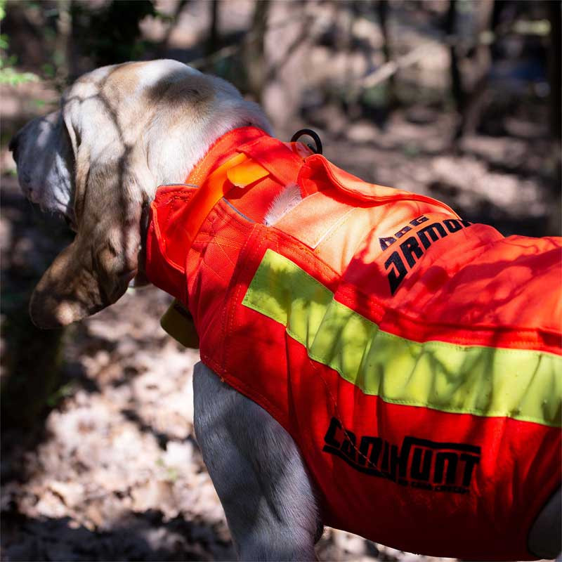 Gilet de protection Dog Armor V3 CaniHunt